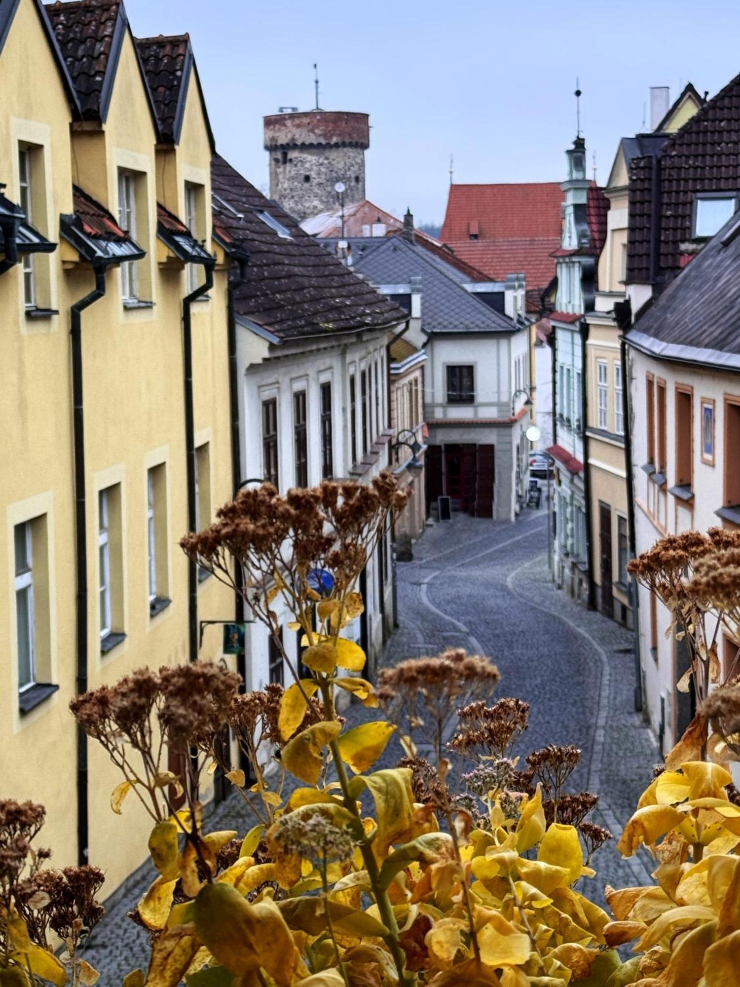 Pension Alfa & Whisky Pub Tábor Exteriör bild